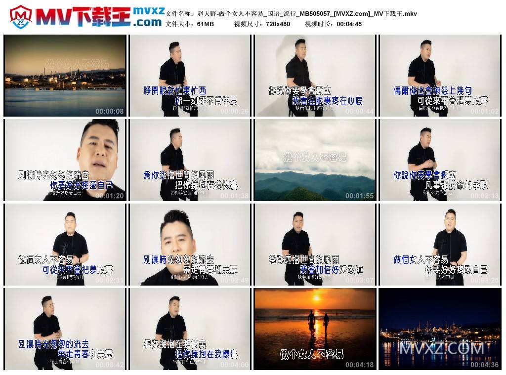 赵天野-做个女人不容易_国语_流行_MB505057